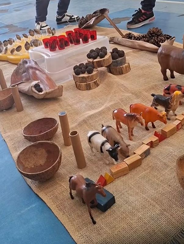 Espaço com animais, tocos de madeira e cascas de coco construído pelas crianças da turma da Michelle