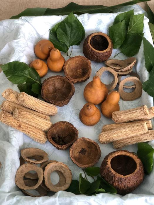 Cabaças, cascas de castanha, sabugos e folhas sobre tecido branco